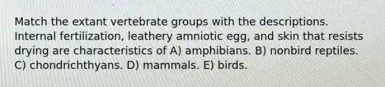 Match the extant vertebrate groups with the descriptions. Internal fertilization, leathery amniotic egg, and skin that resists drying are characteristics of A) amphibians. B) nonbird reptiles. C) chondrichthyans. D) mammals. E) birds.