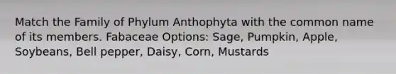 Match the Family of Phylum Anthophyta with the common name of its members. Fabaceae Options: Sage, Pumpkin, Apple, Soybeans, Bell pepper, Daisy, Corn, Mustards