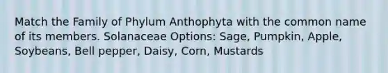 Match the Family of Phylum Anthophyta with the common name of its members. Solanaceae Options: Sage, Pumpkin, Apple, Soybeans, Bell pepper, Daisy, Corn, Mustards