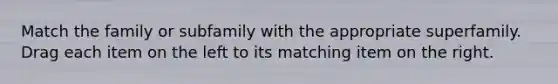 Match the family or subfamily with the appropriate superfamily. Drag each item on the left to its matching item on the right.