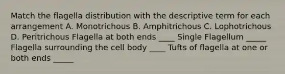 Match the flagella distribution with the descriptive term for each arrangement A. Monotrichous B. Amphitrichous C. Lophotrichous D. Peritrichous Flagella at both ends ____ Single Flagellum _____ Flagella surrounding the cell body ____ Tufts of flagella at one or both ends _____