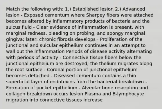 Match the following with: 1.) Established lesion 2.) Advanced lesion - Exposed cementum where Sharpey fibers were attached becomes altered by inflammatory products of bacteria and the sulcus fluid - Clear evidence of inflammation is present, with marginal redness, bleeding on probing, and spongy marginal gingiva; later, chronic fibrosis develops - Proliferation of the junctional and sulcular epithelium continues in an attempt to wall out the inflammation Periods of disease activity alternating with periods of activity - <a href='https://www.questionai.com/knowledge/kYDr0DHyc8-connective-tissue' class='anchor-knowledge'>connective tissue</a> fibers below the junctional epithelium are destroyed; the thelium migrates along the root surface - Coronal portion of junctional epithelium becomes detached - Diseased cementum contains a thin superficial layer of endotoxins from the bacterial breakdown - Formation of pocket epithelium - Alveolar bone resorption and collagen breakdown occurs lesion Plasma and B-lymphocyte migration into connective tissues increase