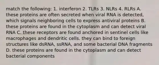 match the following: 1. interferon 2. TLRs 3. NLRs 4. RLRs A. these proteins are often secreted when viral RNA is detected, which signals neighboring cells to express antiviral proteins B. these proteins are found in the cytoplasm and can detect viral RNA C. these receptors are found anchored in sentinel cells like macrophages and dendritic cells. they can bind to foreign structures like dsRNA, ssRNA, and some bacterial DNA fragments D. these proteins are found in the cytoplasm and can detect bacterial components