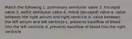 Match the following 1. pulmonary semilunar valve 2. tricuspid valve 3. aortic semilunar valve 4. mitral (bicuspid) valve a. valve between the right atrium and right ventricle b. valve between the left atrium and left ventricle c. prevents backflow of blood into the left ventricle d. prevents backflow of blood into the right ventricle