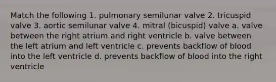 Match the following 1. pulmonary semilunar valve 2. tricuspid valve 3. aortic semilunar valve 4. mitral (bicuspid) valve a. valve between the right atrium and right ventricle b. valve between the left atrium and left ventricle c. prevents backflow of blood into the left ventricle d. prevents backflow of blood into the right ventricle