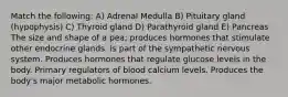 Match the following: A) Adrenal Medulla B) Pituitary gland (hypophysis) C) Thyroid gland D) Parathyroid gland E) Pancreas The size and shape of a pea; produces hormones that stimulate other endocrine glands. Is part of the sympathetic nervous system. Produces hormones that regulate glucose levels in the body. Primary regulators of blood calcium levels. Produces the body's major metabolic hormones.