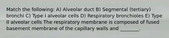 Match the following: A) Alveolar duct B) Segmental (tertiary) bronchi C) Type I alveolar cells D) Respiratory bronchioles E) Type II alveolar cells The respiratory membrane is composed of fused basement membrane of the capillary walls and ________.