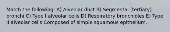 Match the following: A) Alveolar duct B) Segmental (tertiary) bronchi C) Type I alveolar cells D) Respiratory bronchioles E) Type II alveolar cells Composed of simple squamous epithelium.