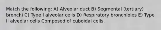 Match the following: A) Alveolar duct B) Segmental (tertiary) bronchi C) Type I alveolar cells D) Respiratory bronchioles E) Type II alveolar cells Composed of cuboidal cells.