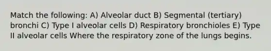 Match the following: A) Alveolar duct B) Segmental (tertiary) bronchi C) Type I alveolar cells D) Respiratory bronchioles E) Type II alveolar cells Where the respiratory zone of the lungs begins.