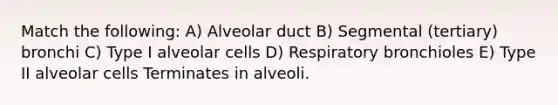 Match the following: A) Alveolar duct B) Segmental (tertiary) bronchi C) Type I alveolar cells D) Respiratory bronchioles E) Type II alveolar cells Terminates in alveoli.