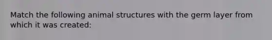 Match the following animal structures with the germ layer from which it was created: