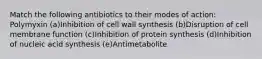 Match the following antibiotics to their modes of action: Polymyxin (a)Inhibition of cell wall synthesis (b)Disruption of cell membrane function (c)Inhibition of protein synthesis (d)Inhibition of nucleic acid synthesis (e)Antimetabolite