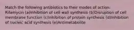 Match the following antibiotics to their modes of action: Rifamycin (a)Inhibition of cell wall synthesis (b)Disruption of cell membrane function (c)Inhibition of protein synthesis (d)Inhibition of nucleic acid synthesis (e)Antimetabolite