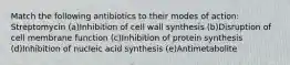 Match the following antibiotics to their modes of action: Streptomycin (a)Inhibition of cell wall synthesis (b)Disruption of cell membrane function (c)Inhibition of protein synthesis (d)Inhibition of nucleic acid synthesis (e)Antimetabolite