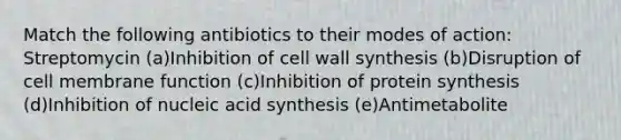 Match the following antibiotics to their modes of action: Streptomycin (a)Inhibition of cell wall synthesis (b)Disruption of cell membrane function (c)Inhibition of protein synthesis (d)Inhibition of nucleic acid synthesis (e)Antimetabolite