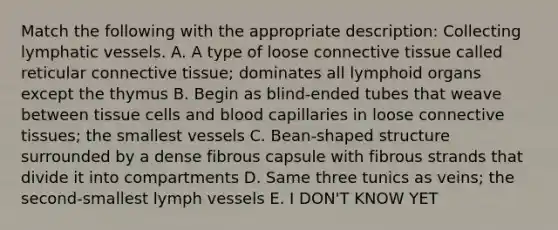 Match the following with the appropriate description: Collecting lymphatic vessels. A. A type of loose connective tissue called reticular connective tissue; dominates all lymphoid organs except the thymus B. Begin as blind-ended tubes that weave between tissue cells and blood capillaries in loose connective tissues; the smallest vessels C. Bean-shaped structure surrounded by a dense fibrous capsule with fibrous strands that divide it into compartments D. Same three tunics as veins; the second-smallest lymph vessels E. I DON'T KNOW YET