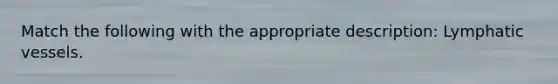 Match the following with the appropriate description: Lymphatic vessels.