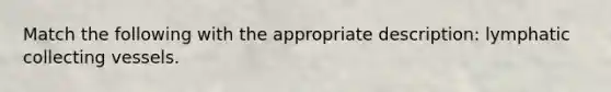 Match the following with the appropriate description: lymphatic collecting vessels.