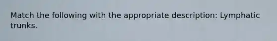 Match the following with the appropriate description: Lymphatic trunks.