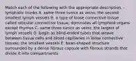 Match each of the following with the appropriate description. -lymphatic trunks A. same three tunics as veins; the second-smallest lymph vessels B. a type of loose connective tissue called reticular connective tissue; dominates all lymphoid organs except thymus C. same three tunics as veins; the largest of lymph vessels D. begin as blind-ended tubes that weave between tissue cells and blood capillaries in loose connective tissues; the smallest vessels E. bean-shaped structure surrounded by a dense fibrous capsule with fibrous strands that divide it into compartments