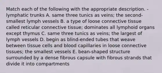 Match each of the following with the appropriate description. -lymphatic trunks A. same three tunics as veins; the second-smallest lymph vessels B. a type of loose connective tissue called reticular connective tissue; dominates all lymphoid organs except thymus C. same three tunics as veins; the largest of lymph vessels D. begin as blind-ended tubes that weave between tissue cells and blood capillaries in loose connective tissues; the smallest vessels E. bean-shaped structure surrounded by a dense fibrous capsule with fibrous strands that divide it into compartments