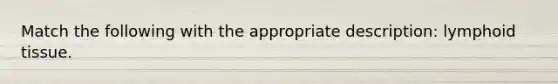 Match the following with the appropriate description: lymphoid tissue.