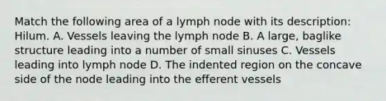 Match the following area of a lymph node with its description: Hilum. A. Vessels leaving the lymph node B. A large, baglike structure leading into a number of small sinuses C. Vessels leading into lymph node D. The indented region on the concave side of the node leading into the efferent vessels