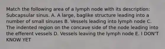 Match the following area of a lymph node with its description: Subcapsular sinus. A. A large, baglike structure leading into a number of small sinuses B. Vessels leading into lymph node C. The indented region on the concave side of the node leading into the efferent vessels D. Vessels leaving the lymph node E. I DON'T KNOW YET