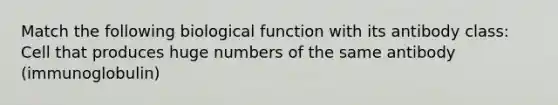 Match the following biological function with its antibody class: Cell that produces huge numbers of the same antibody (immunoglobulin)