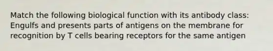 Match the following biological function with its antibody class: Engulfs and presents parts of antigens on the membrane for recognition by T cells bearing receptors for the same antigen