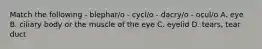 Match the following - blephar/o - cycl/o - dacry/o - ocul/o A. eye B. ciliary body or the muscle of the eye C. eyelid D. tears, tear duct