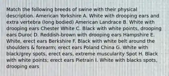 Match the following breeds of swine with their physical description. American Yorkshire A. White with drooping ears and extra vertebra (long bodied) American Landrace B. White with drooping ears Chester White C. Black with white points, drooping ears Duroc D. Reddish-brown with drooping ears Hampshire E. White, erect ears Berkshire F. Black with white belt around the shoulders & forearm; erect ears Poland China G. White with black/grey spots, erect ears, extreme muscularity Spot H. Black with white points; erect ears Pietrain I. White with blacks spots, drooping ears