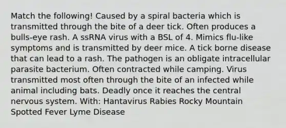 Match the following! Caused by a spiral bacteria which is transmitted through the bite of a deer tick. Often produces a bulls-eye rash. A ssRNA virus with a BSL of 4. Mimics flu-like symptoms and is transmitted by deer mice. A tick borne disease that can lead to a rash. The pathogen is an obligate intracellular parasite bacterium. Often contracted while camping. Virus transmitted most often through the bite of an infected while animal including bats. Deadly once it reaches the central nervous system. With: Hantavirus Rabies Rocky Mountain Spotted Fever Lyme Disease