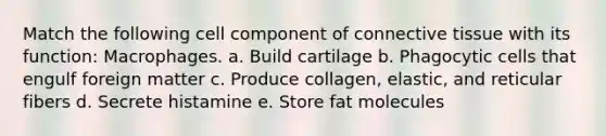 Match the following cell component of connective tissue with its function: Macrophages. a. Build cartilage b. Phagocytic cells that engulf foreign matter c. Produce collagen, elastic, and reticular fibers d. Secrete histamine e. Store fat molecules