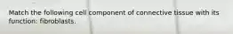 Match the following cell component of connective tissue with its function: fibroblasts.