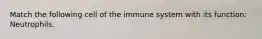 Match the following cell of the immune system with its function: Neutrophils.