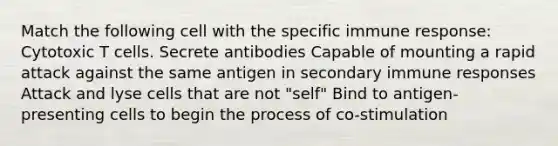 Match the following cell with the specific immune response: Cytotoxic T cells. Secrete antibodies Capable of mounting a rapid attack against the same antigen in secondary immune responses Attack and lyse cells that are not "self" Bind to antigen-presenting cells to begin the process of co-stimulation