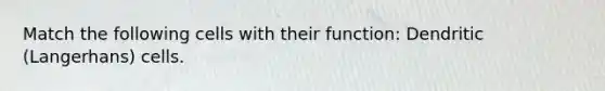 Match the following cells with their function: Dendritic (Langerhans) cells.