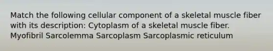 Match the following cellular component of a skeletal muscle fiber with its description: Cytoplasm of a skeletal muscle fiber. Myofibril Sarcolemma Sarcoplasm Sarcoplasmic reticulum