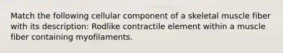 Match the following cellular component of a skeletal muscle fiber with its description: Rodlike contractile element within a muscle fiber containing myofilaments.