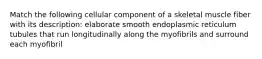 Match the following cellular component of a skeletal muscle fiber with its description: elaborate smooth endoplasmic reticulum tubules that run longitudinally along the myofibrils and surround each myofibril
