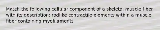 Match the following cellular component of a skeletal muscle fiber with its description: rodlike contractile elements within a muscle fiber containing myofilaments