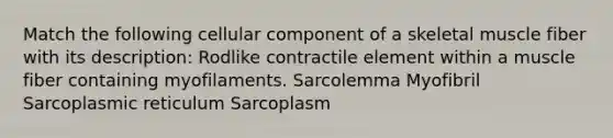 Match the following cellular component of a skeletal muscle fiber with its description: Rodlike contractile element within a muscle fiber containing myofilaments. Sarcolemma Myofibril Sarcoplasmic reticulum Sarcoplasm