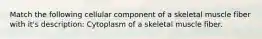 Match the following cellular component of a skeletal muscle fiber with it's description: Cytoplasm of a skeletal muscle fiber.