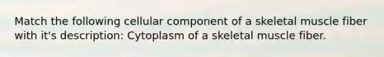 Match the following cellular component of a skeletal muscle fiber with it's description: Cytoplasm of a skeletal muscle fiber.