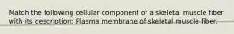 Match the following cellular component of a skeletal muscle fiber with its description: Plasma membrane of skeletal muscle fiber.
