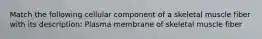 Match the following cellular component of a skeletal muscle fiber with its description: Plasma membrane of skeletal muscle fiber