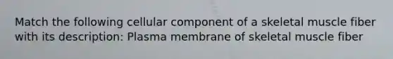 Match the following cellular component of a skeletal muscle fiber with its description: Plasma membrane of skeletal muscle fiber