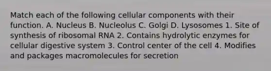 Match each of the following cellular components with their function. A. Nucleus B. Nucleolus C. Golgi D. Lysosomes 1. Site of synthesis of ribosomal RNA 2. Contains hydrolytic enzymes for cellular digestive system 3. Control center of the cell 4. Modifies and packages macromolecules for secretion